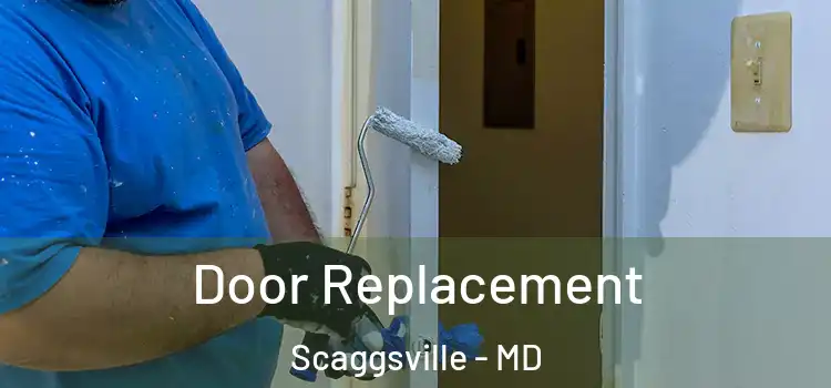 Door Replacement Scaggsville - MD
