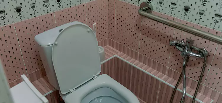 Meeting Diverse Needs With Accessible Restroom Solutions in Scaggsville, MD