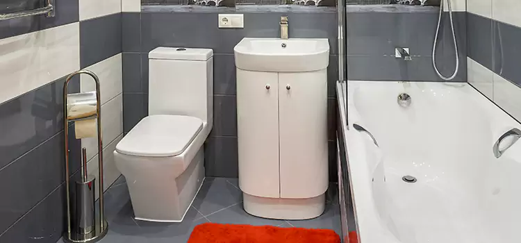 Hansgrohe Shaving Mirror Scaggsville