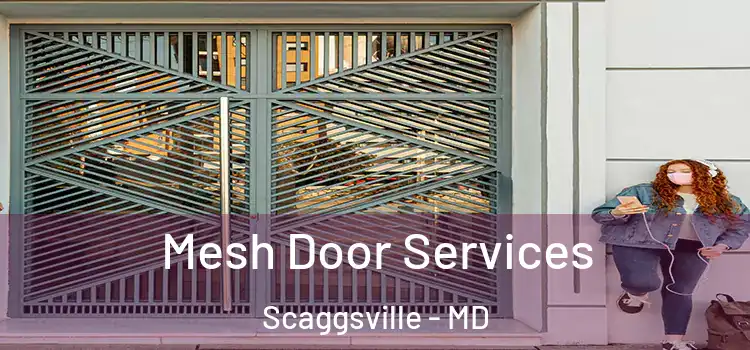 Mesh Door Services Scaggsville - MD