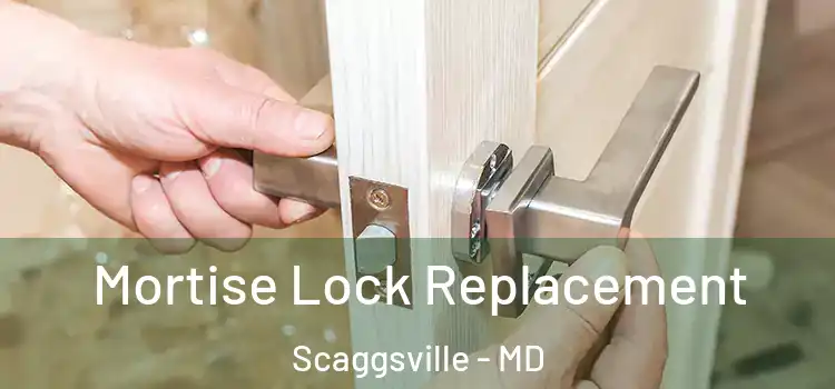  Mortise Lock Replacement Scaggsville - MD