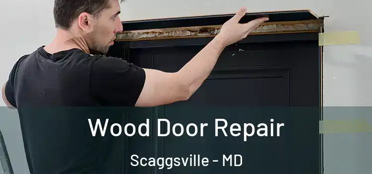 Wood Door Repair Scaggsville - MD
